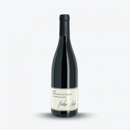 Les Michelons 2023 - Domaine Yohan Lardy