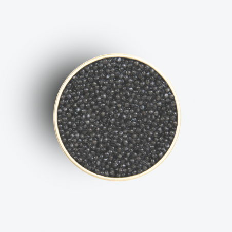 Caviar Persicus Black Edition 500g - Caviar Kasnodar - zoom