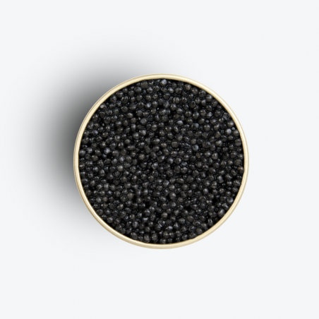 Caviar Osciètre Black Edition 500g - Caviar Kasnodar zoom