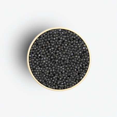 Caviar Baeri White Edition 500g - Caviar Kasnodar zoom