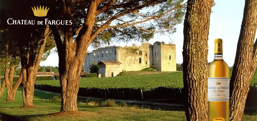 Château de Fargues Lur-Saluces 1996 et 1998