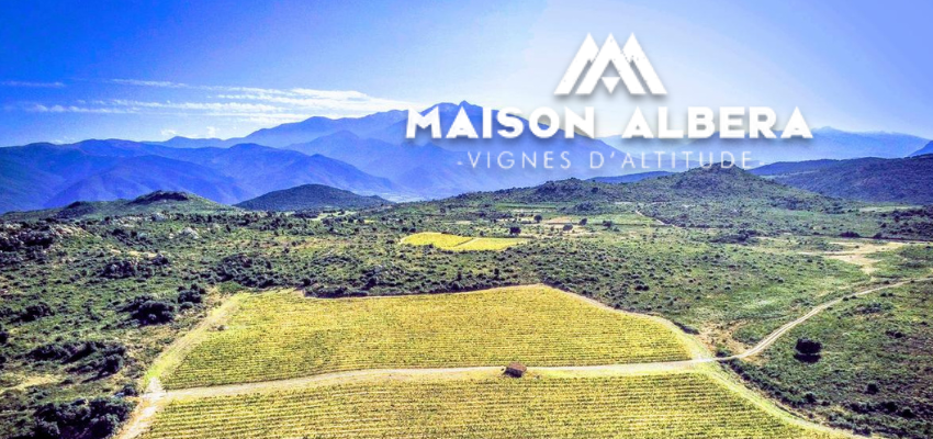 Vignes d'Altitude - Maison Albera : Des vins raffinés et élégants cultivés dans les montagnes du Roussillon