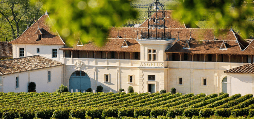 Château Angélus 2009, 2016 et 2020