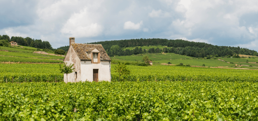 Beaune