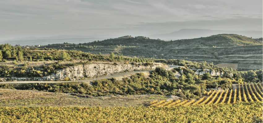 Minervois