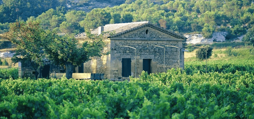 AOP Coteaux d'Aix-en-Provence - Élégance et Harmonie des Vins Provençaux