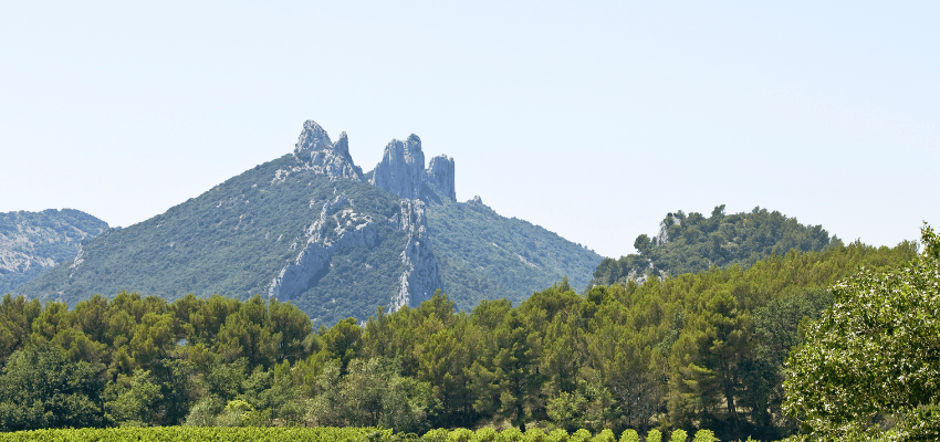 Gigondas - Puissance et Élégance dans les Dentelles de Montmirail