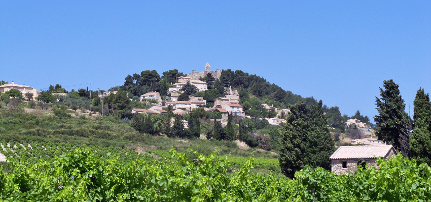 Rasteau - Richesse et Élégance au Cœur de la Provence