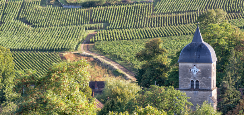 Pomerol - Élégance et Prestige dans chaque Gorgée | Vins de Bordeaux