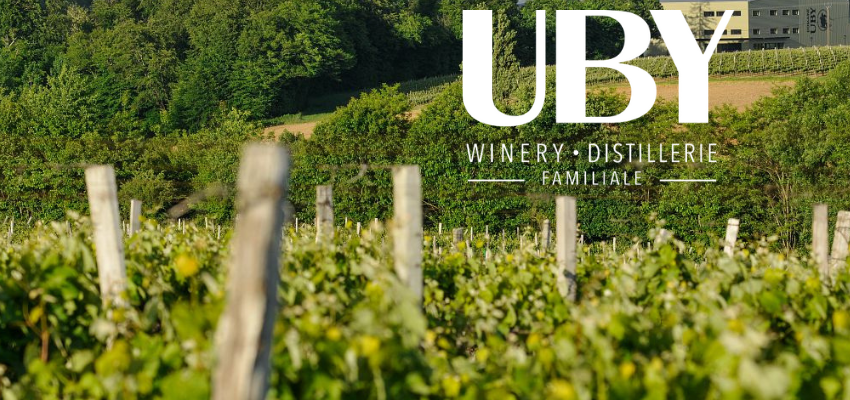 Domaine Uby - Des vins exceptionnels du sud-ouest de la France