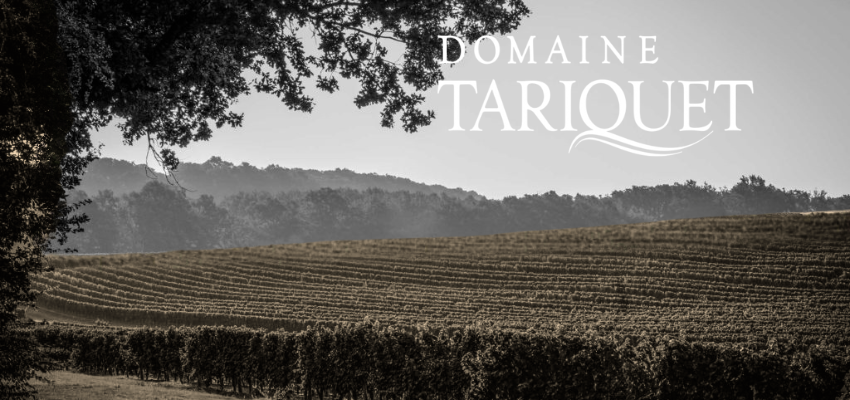 Domaine Tariquet