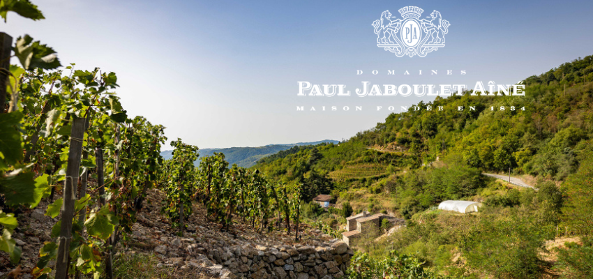 Domaine Paul Jaboulet Aîné - Grands Vins de la Vallée du Rhône