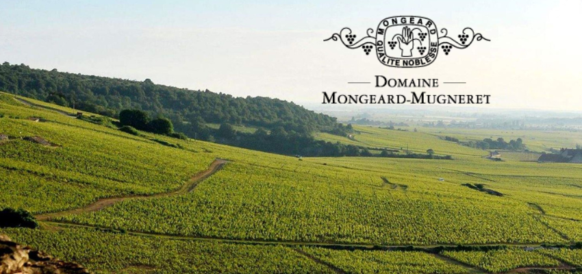 Domaine Mongeard-Mugneret - L'excellence Bourguignonne